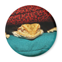 Cozy Bearded Dragon Fridge Magnets