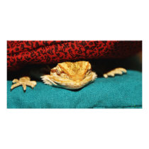 Cozy Bearded Dragon Customized Photo Card