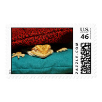 Cozy Bearded Dragon Stamps