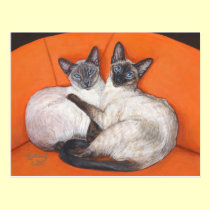 Cozy Couple Siamese Cat postcards