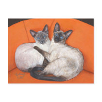 Cozy Couple Siamese Cat Post Card