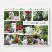 Cozy Kitten Mouse Pad mousepads