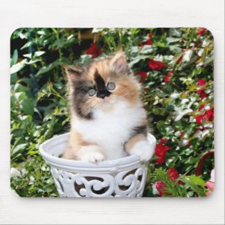 Cozy Kittens Calico Persian-Kittens Mousepad mousepad