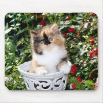 Cozy Kittens Calico Persian Kittens Mousepad