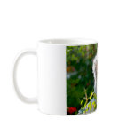 Cozy Kittens Coffe Mug - Blue Silver Persian