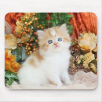 Cozy Kittens mousepads