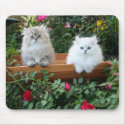 Cozy Kittens mousepads