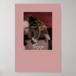 Cozy Kitty posters
