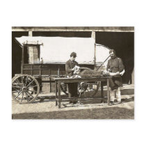 cp1563 Army Medical Wagon Post Cards