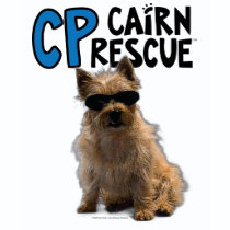 Col. Potter Cairn Rescue
