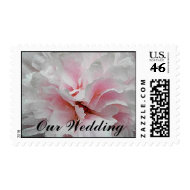 CP- Pink Peony Wedding Postage stamp