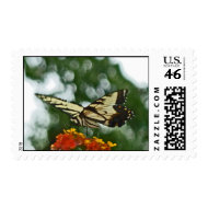CP- Yellow Swallowtail Butterly Postage Stamp stamp
