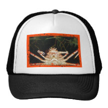 crab2 hat