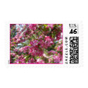 Crab Apple Blossoms postage by pammys Crab Apple Blossoms postage