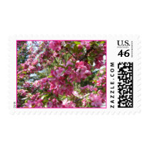 Crab Apple Blossoms postage