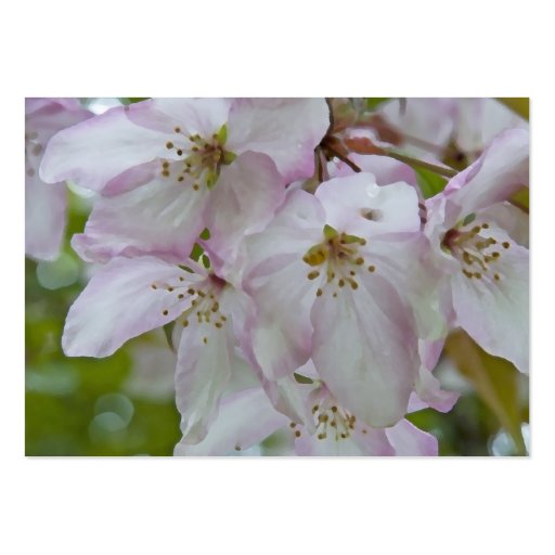 Crab Apple Blossoms Wedding Charity Card Business Card Templates (back side)