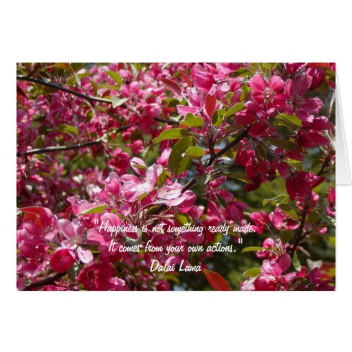 Apple Blossom Quotes. QuotesGram
