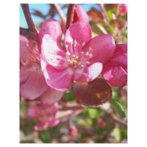 Crab Apple Tree in Bloom Letterhead Design
