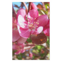 Crab Apple Tree in Bloom Stationery Design