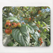Crab Apples mousepads