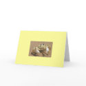 Crab Birthday Card