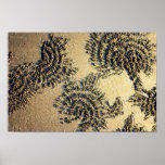 Crab Circles Poster