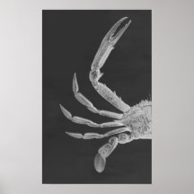 Crab Diptych II in Gray Poster