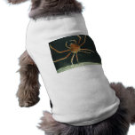 Crab Pet Clothes