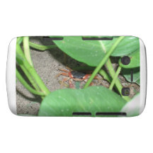 Crab Hiding Blackberry Bold Case