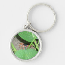 Crab hiding keyring keychains