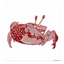 Crab Illustration Poster posters
