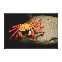Crab in oil on canvas stretched canvas prints