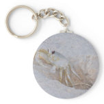 Crab Key Chain