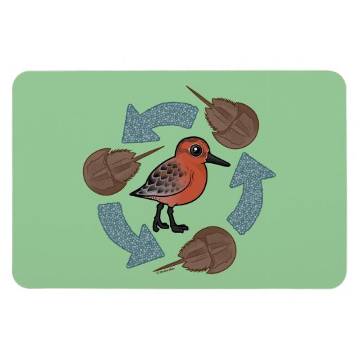 Crab-Knot Cycle Rectangular Magnet