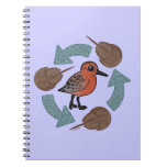 Crab-Knot Cycle Notebook