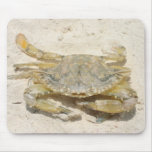 Crab Mouse Pads