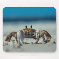Crab mousepads