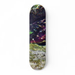 Crab Ocean Tide Pools La Jolla Cove Skate Board Decks