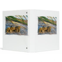 Crab on beach dune at sunset 3 ring binder