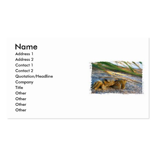 Crab on beach dune at sunset business card templates