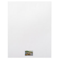 Crab on beach dune at sunset customized letterhead