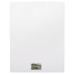 Crab on beach dune at sunset letterhead