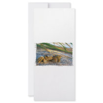 Crab on beach dune at sunset personalized rack card