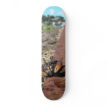 Crab on Rail line Skateboard Deck