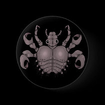 Crab or "Pubic" Louse buttons
