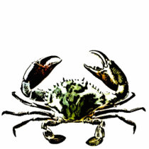 Crab photo sculptures by Custom_Jac Crab photo sculptures