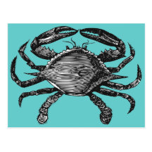 Crab Post Card