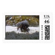 crab postage