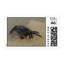 crab postage by parishilton2007 crab postage