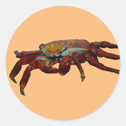 Crab Sticker Zazzle